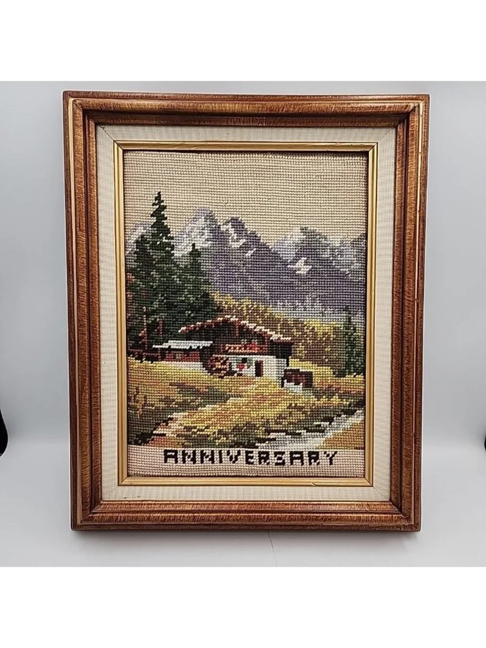 Vintage Alpine Lodge Mountain Cross Stitch Art Framed Landscape Anniversary